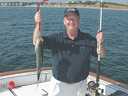 Cape Cod Bay Bass Sport Fishing